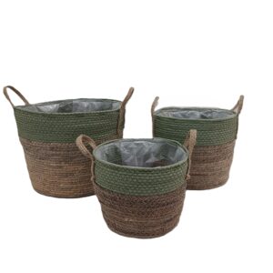 Set de 3 CP Paniers Even Vert foncé