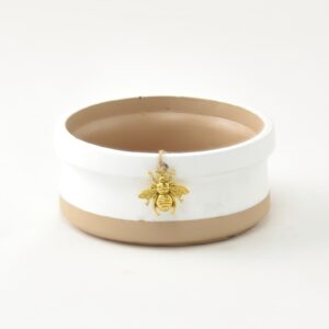 Coupe  Beenube  dia 23 H 10