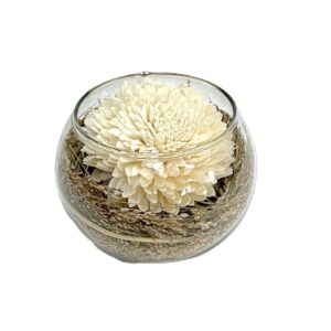 Dahlia bocal verre diam. 14 H.11