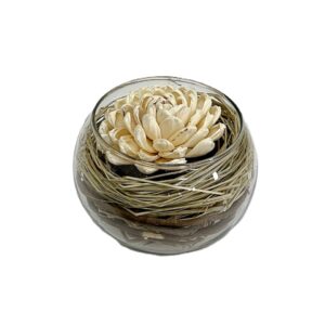 Chrysanthème bocal verre diam. 14 H.11