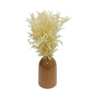 Vase terracotta bouquet avoine séché H.25 cm