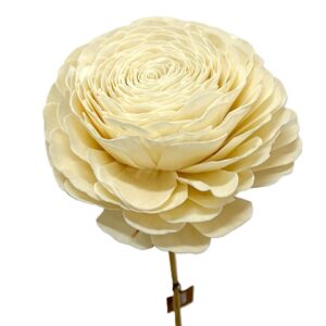 Rose en Shola H.100 cm