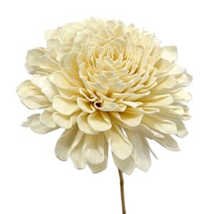 Fleur Dahlia en shola H.100 cm