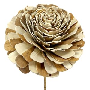 Fleur Beli en shola bicolore diam 25 cm H.100 cm