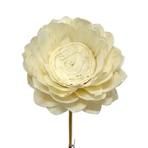 Lotus en shola diam 15 cm H.100 cm