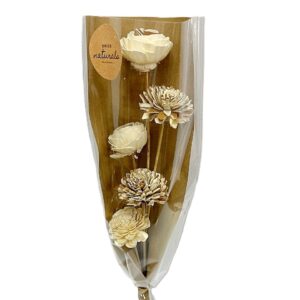Bouquet 5 fleurs shola bicolore tige polybag H.50 cm