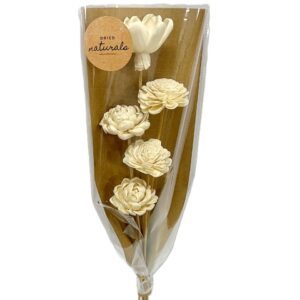 Bouquet 5 fleurs shola beige tige polybag H.50 cm