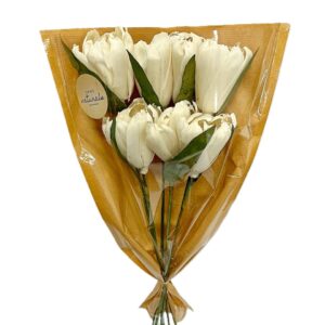 Bouquet 5 Tulipe shola beige tige polybag H.50 cm