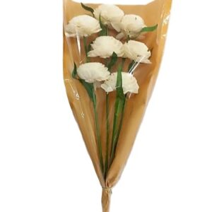 Bouquet 5 roses shola beige tige polybag H.55 cm
