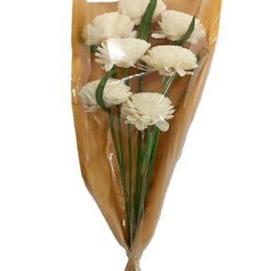 Bouquet 5 Beli shola beige tige polybag H.55 cm