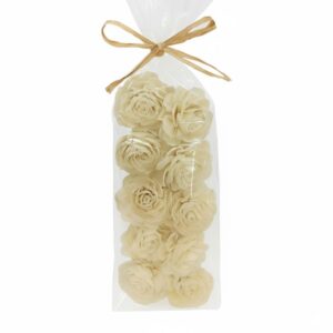 Set 10 fleurs Dahlia shola diam 6 polybag