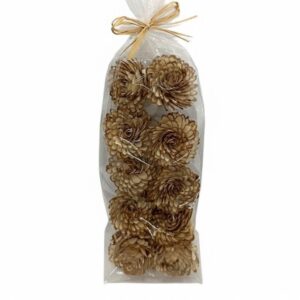 Set 10 fleurs shola bicolore diam 10 polybag