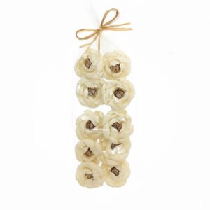 Set 10 pivoine shola beige diam 10 polybag