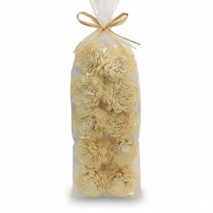 Set 10 Dahlia shola beige diam 10 polybag